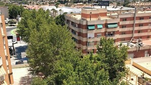 Un immeuble à plusieurs étages doté de balcons, entouré d’arbres.