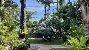 Um jardim exuberante com palmeiras, um caminho sinuoso e uma variedade de plantas e flores.