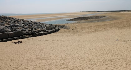 Brynawel