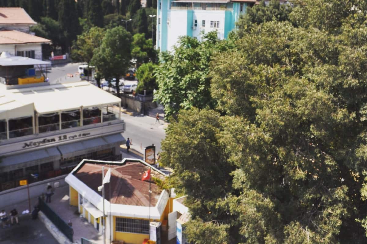 Economy Shared Dormitory, Women only, Non Smoking | City view