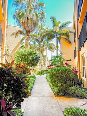 Property grounds - Surfside I 2 Bed 2 Bath by the Beach (South Padre Island)