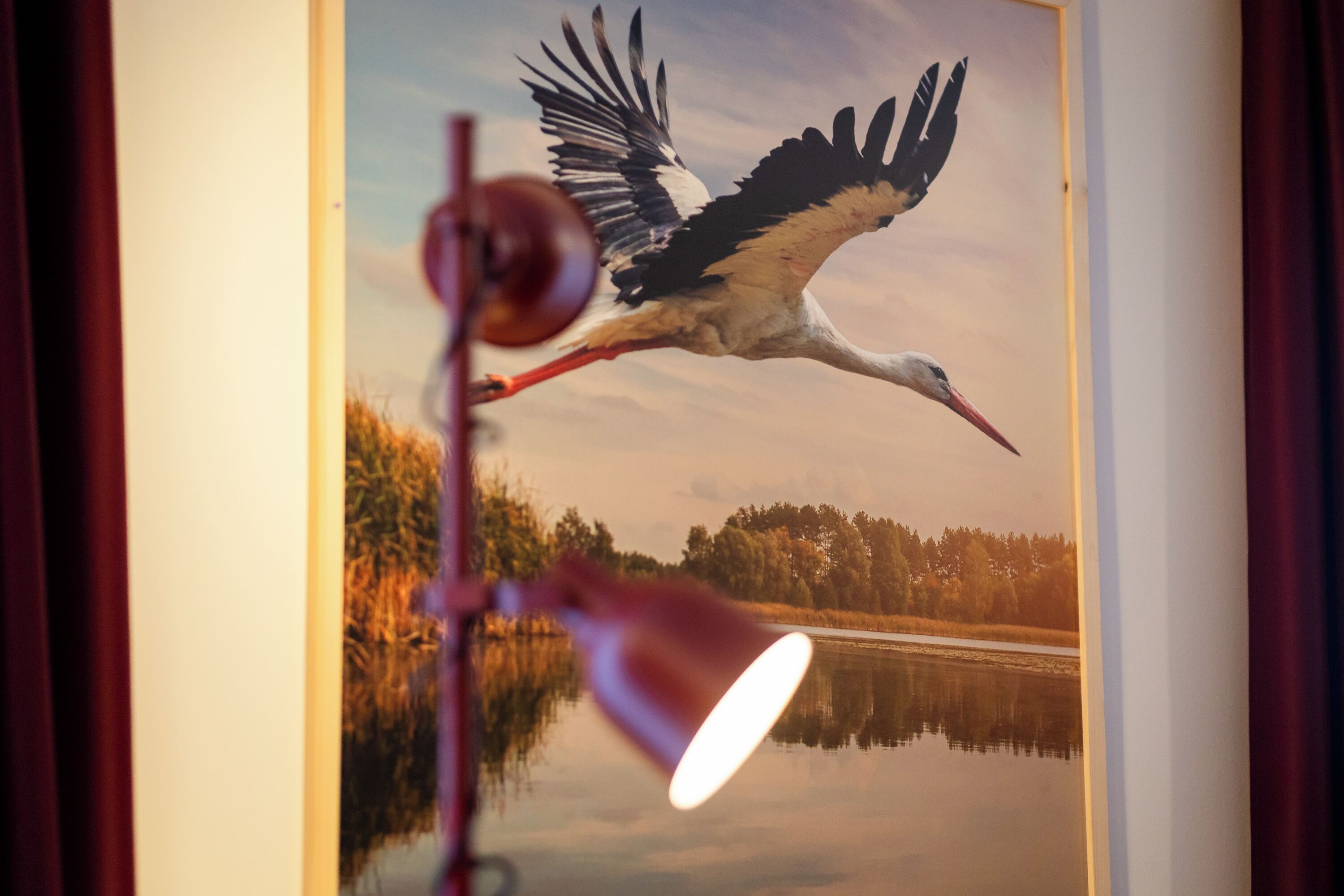 A framed picture of a bird in flight with a lamp in the foreground.
