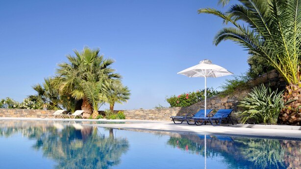 Una piscina cristalina con sillas reclinables azules y sombrillas, rodeada de palmeras y un muro de piedra.