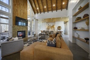 TV connectée, cheminée, livres
