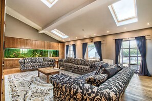 TV, fireplace, books, stereo