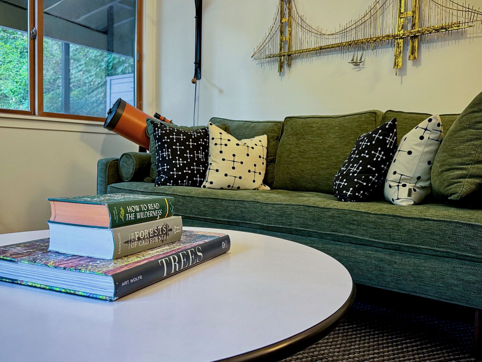 Een open haard, een dvd-speler en boeken