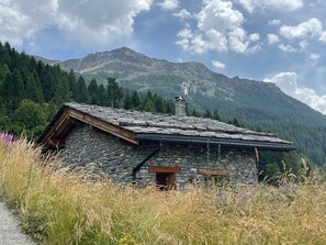 Eksteriør