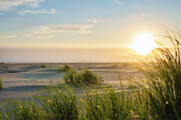 En la playa y toallas de playa