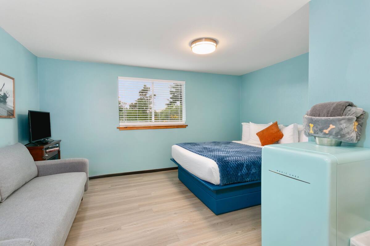 A bedroom with a bed, a sofa, a TV, and a small kitchenette.