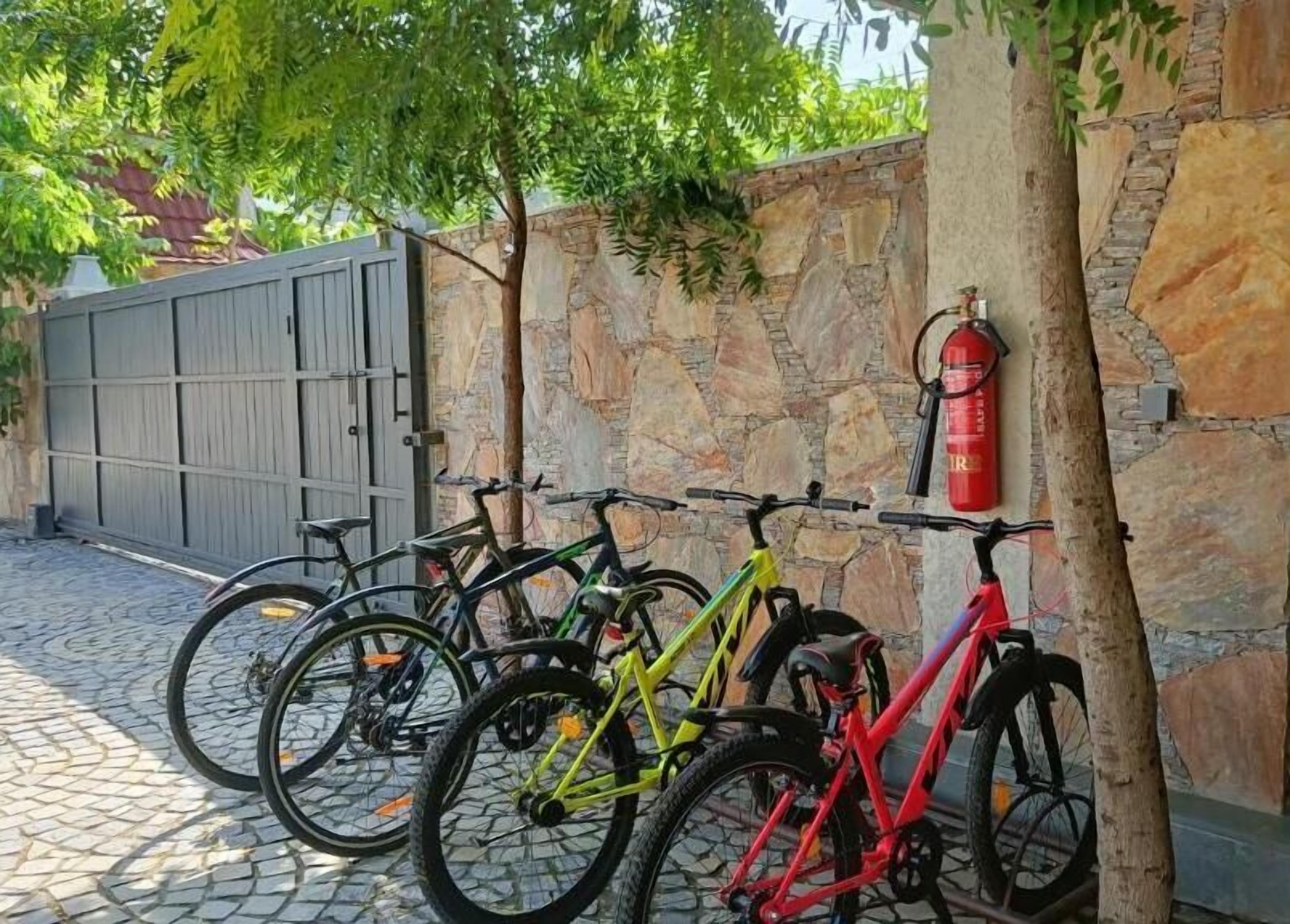 ركوب الدراجات