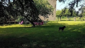 Jardines del alojamiento