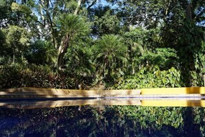 Piscina externa