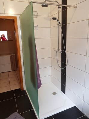 Chuveiro, secador de cabelo, toalhas de banho, sabonete