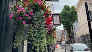 Eine schmale Straße mit einem Pub namens "The Plough", der ein traditionelles Schild und hängende Blumenkörbe zeigt.