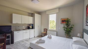 Basic Apartment | Private kitchen | Fridge, microwave, oven, stovetop