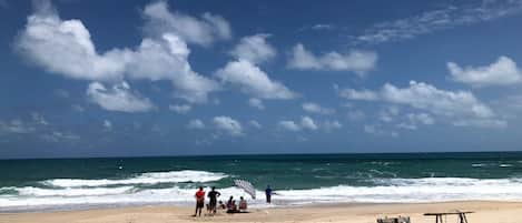 Plage, chaises longues