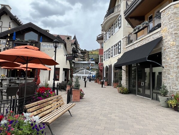 Condo (Vail Village Plaza Lodge 3 Bedroom Co) | Exterior