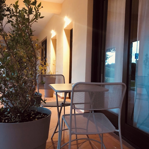 A modern patio area with a metal chair and a potted plant.