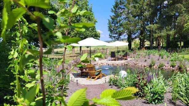 A garden with a pond, seating area, and trees.