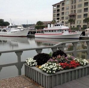Property grounds - The Marriott Harbor Point (Hilton Head Island)