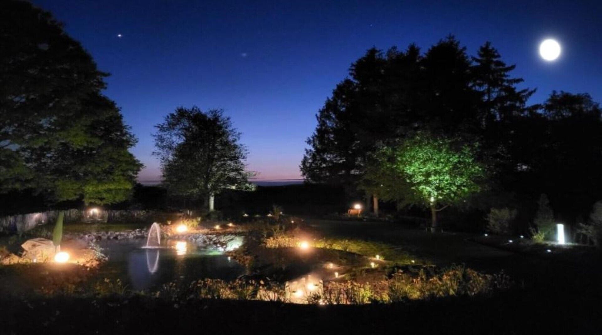 Un jardin nocturne avec un étang, des arbres et un éclairage d’ambiance.