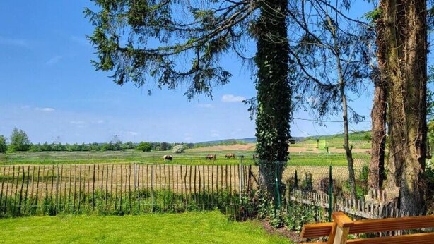 A wooden bench in a grassy field with a fence and trees in the background. - Gästehaus am Bachlauf - Losheim am See 
Wohnung 6 – Weitblick (Losheim am See)