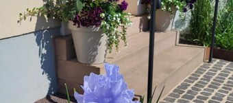 Gästehaus am Bachlauf - Losheim am See
Wohnung 6 – Weitblick