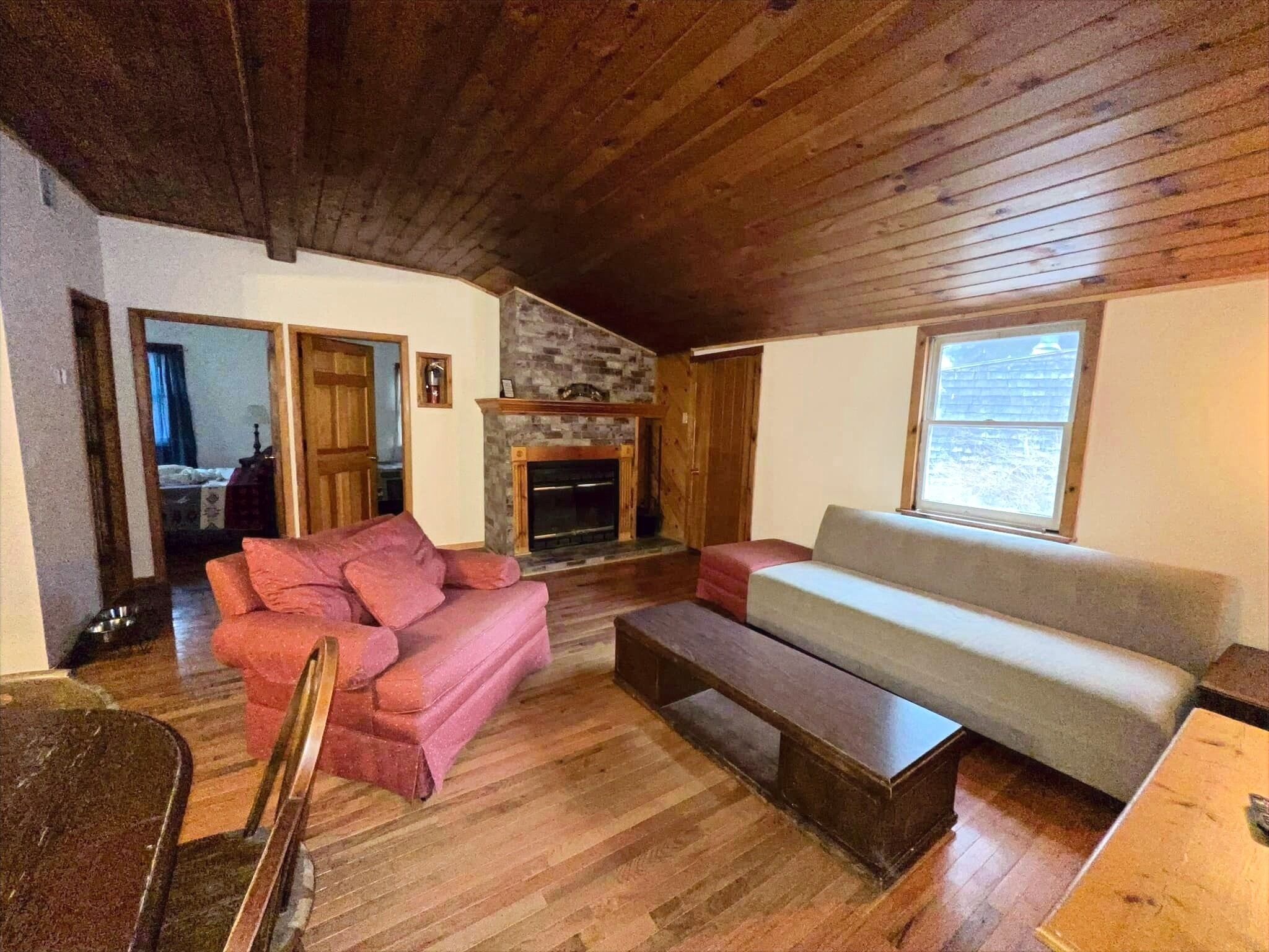 TV, fireplace, books