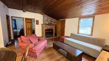 TV, fireplace, books