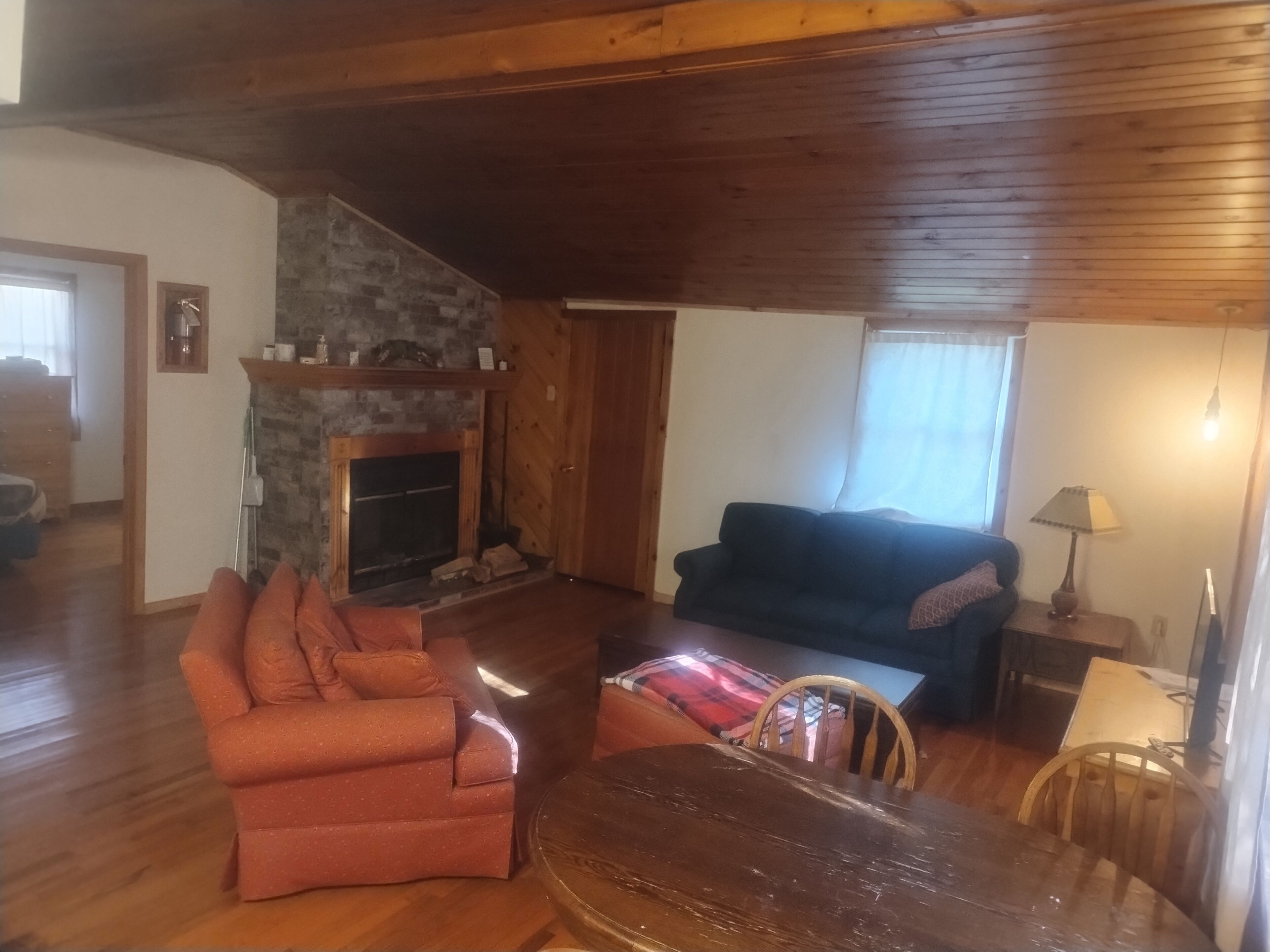 TV, fireplace, books