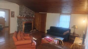 TV, fireplace, books