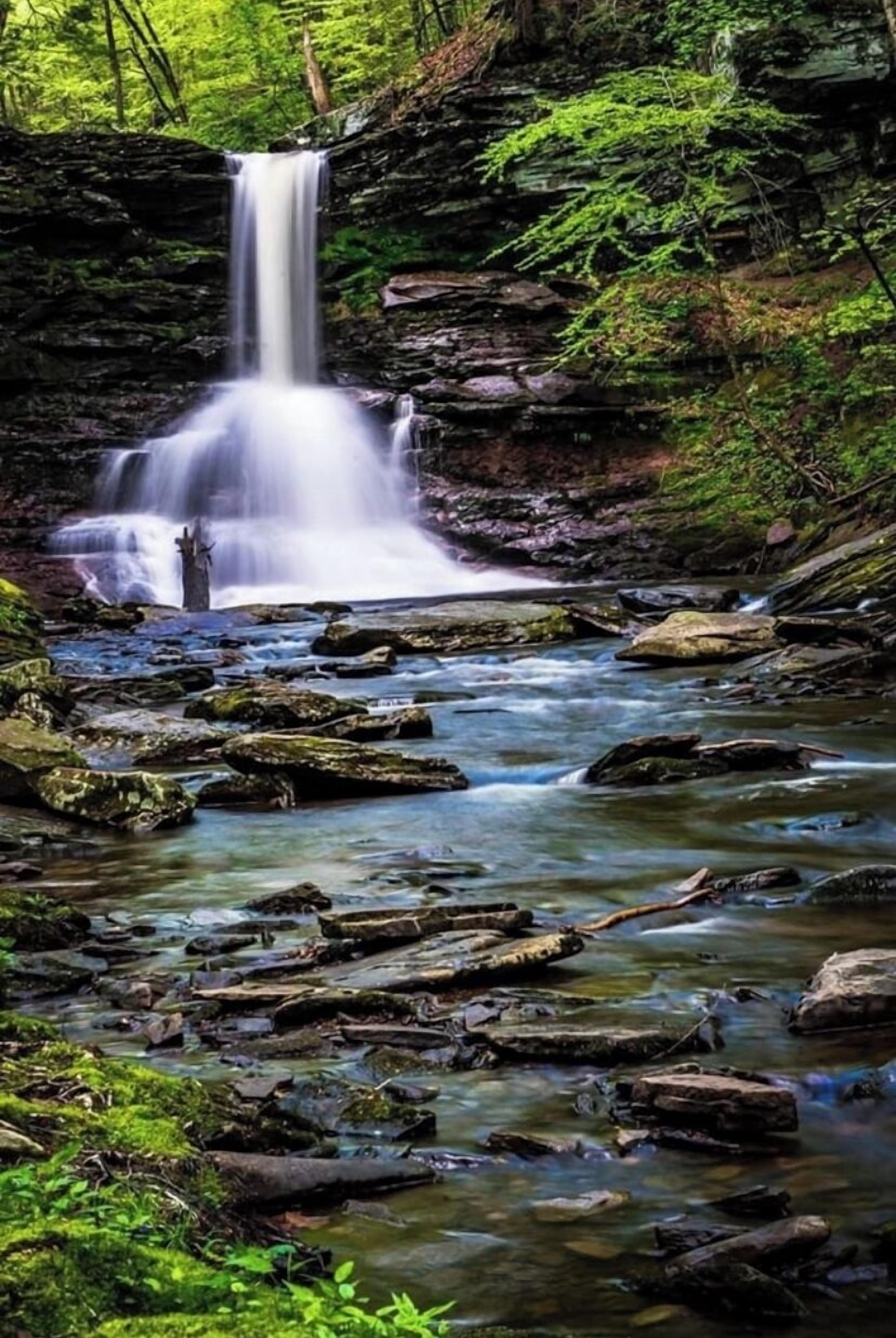 Une cascade située dans une zone boisée, avec des rochers et de la végétation.