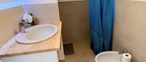 Shower, hair dryer, bidet, towels