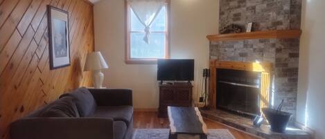 TV, fireplace, DVD player, books