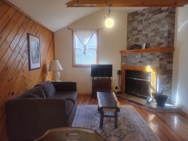 Télévision, cheminée, lecteur de DVD, livres