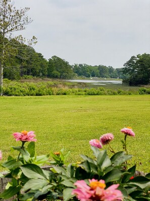 Property grounds - Creek Haven Hideaway! 5-acre creekside yard, mins to the beach with gameroom (Wilmington)