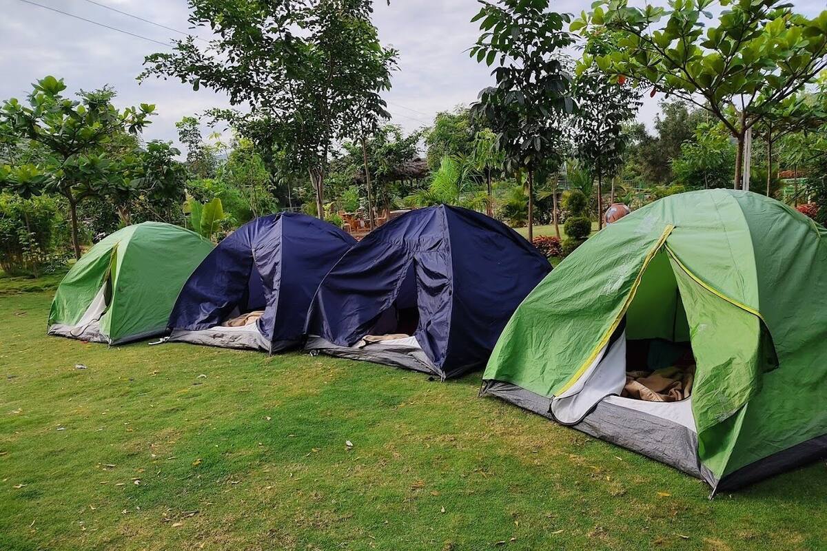 Une rangée de tentes est installée sur un champ herbeux, avec des arbres en arrière-plan.