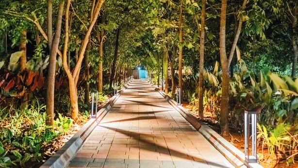 A pathway lined with trees and a blue structure in the distance.