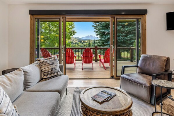 Smart TV, fireplace, ping pong, books