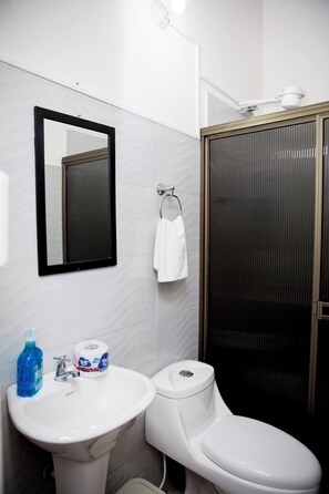 Executive appartement, Meerdere bedden, aan tuin | Badkamer | Een douche, handdoeken, zeep, toiletpapier
