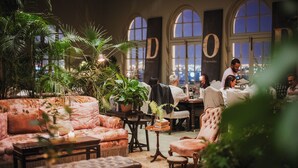 A cozy lounge area with plush seating, a coffee table, and potted plants. - Dorp Hotel (Cape Town)