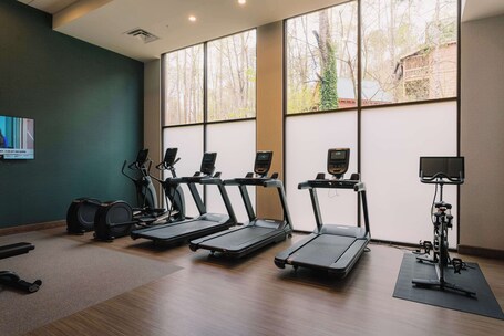 Embassy Suites By Hilton Gatlinburg Resort - Image 45
