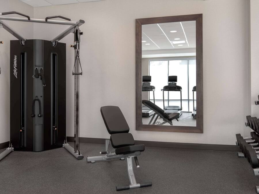 Ett gym med en knäböjsställning, en bänkpress och hantlar.