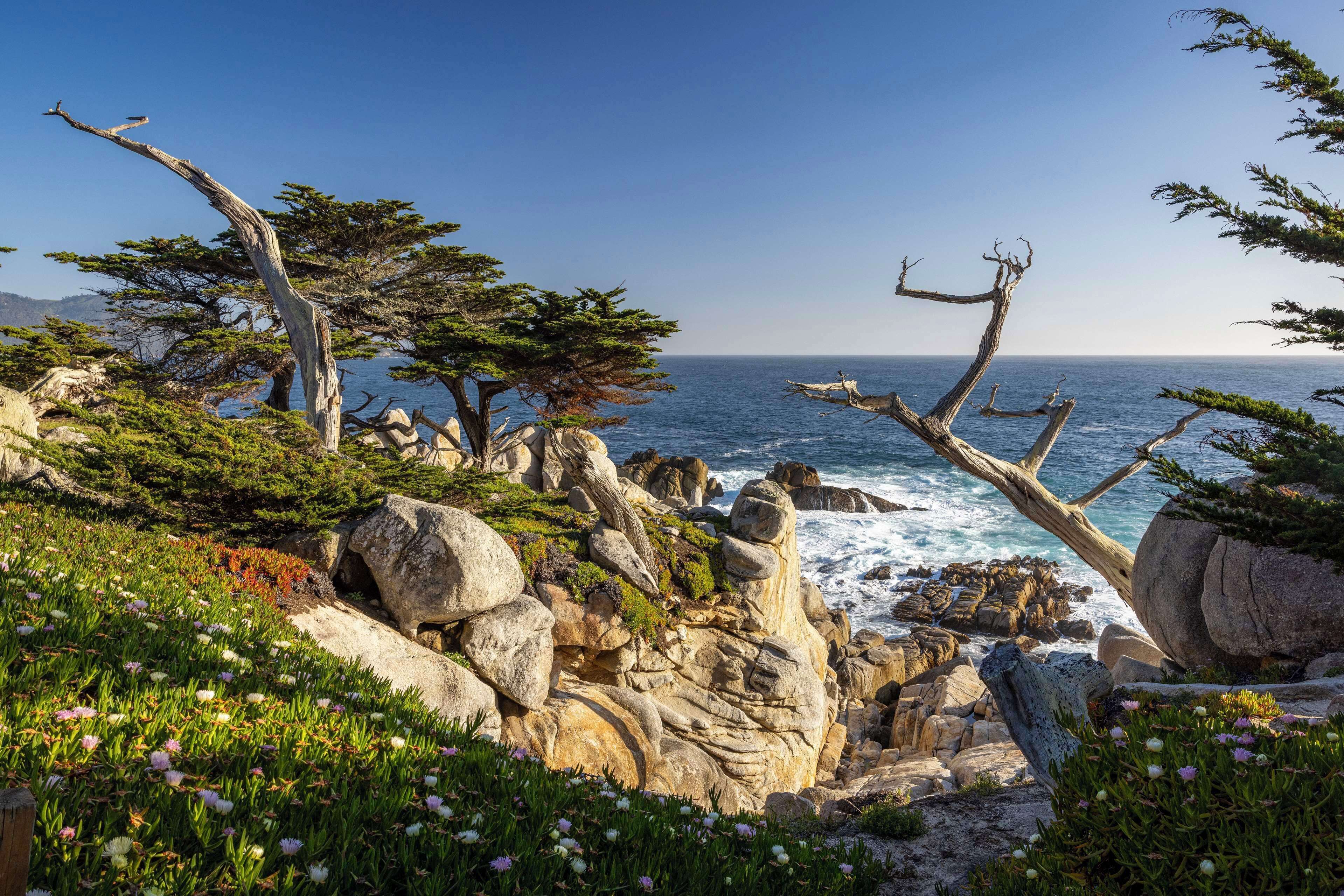 A coastal landscape with rocky terrain, trees, and a view of the sea.