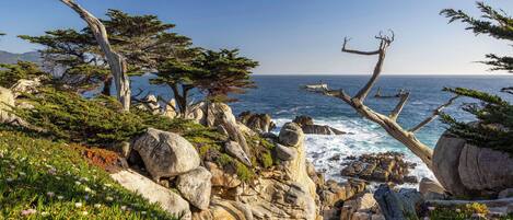 A coastal landscape with rocky terrain, trees, and a view of the sea.