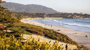 Una playa con una ladera boscosa al fondo.