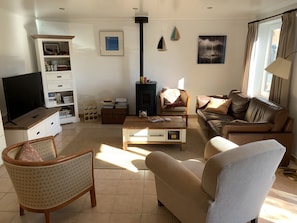 Smart TV, fireplace, table tennis, books