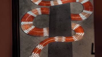 Una alfombra con un diseño de serpiente.