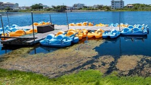 Un puerto deportivo con botes de remo amarrados a muelles de madera.