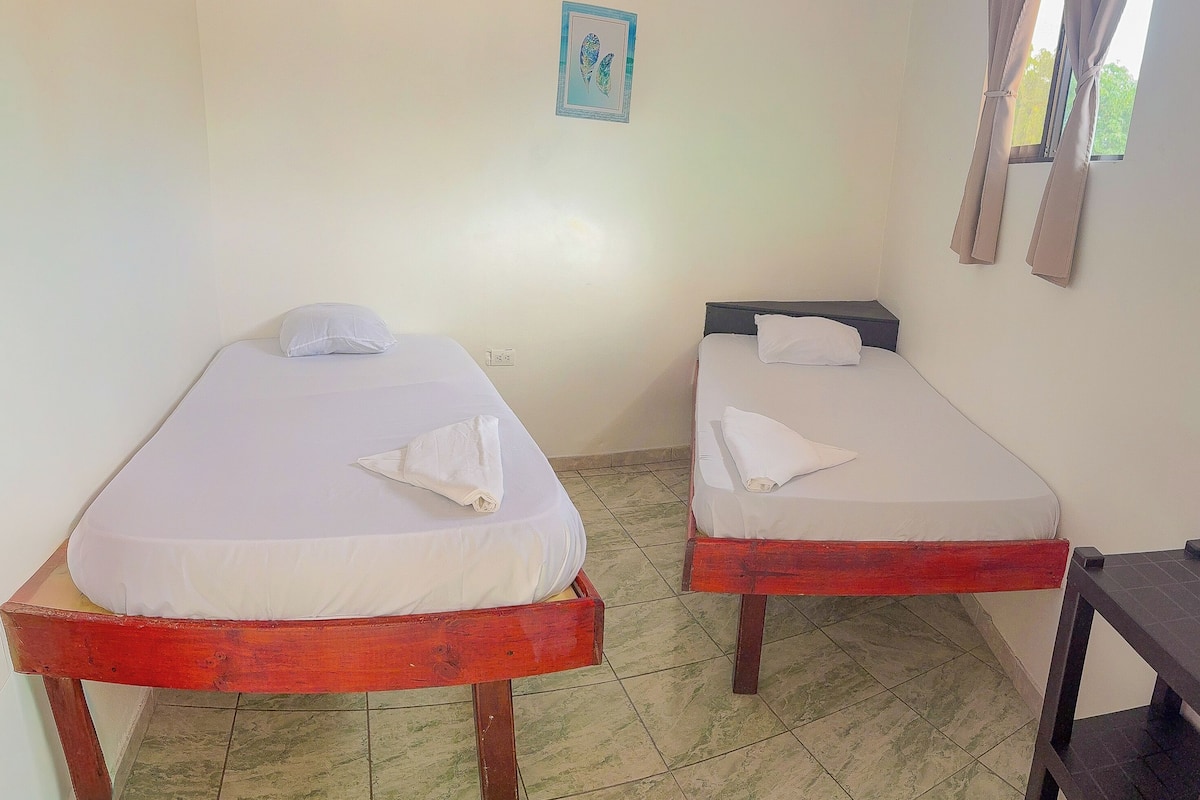 Habitación estándar con 2 camas individuales | Wifi gratis y ropa de cama
